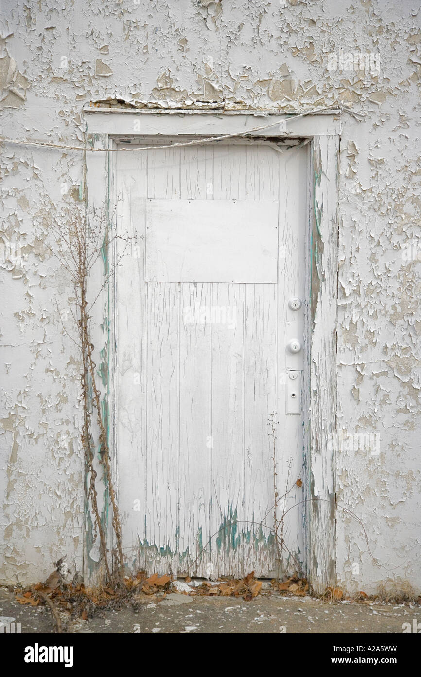 Old door with peeling paint Stock Photo Alamy