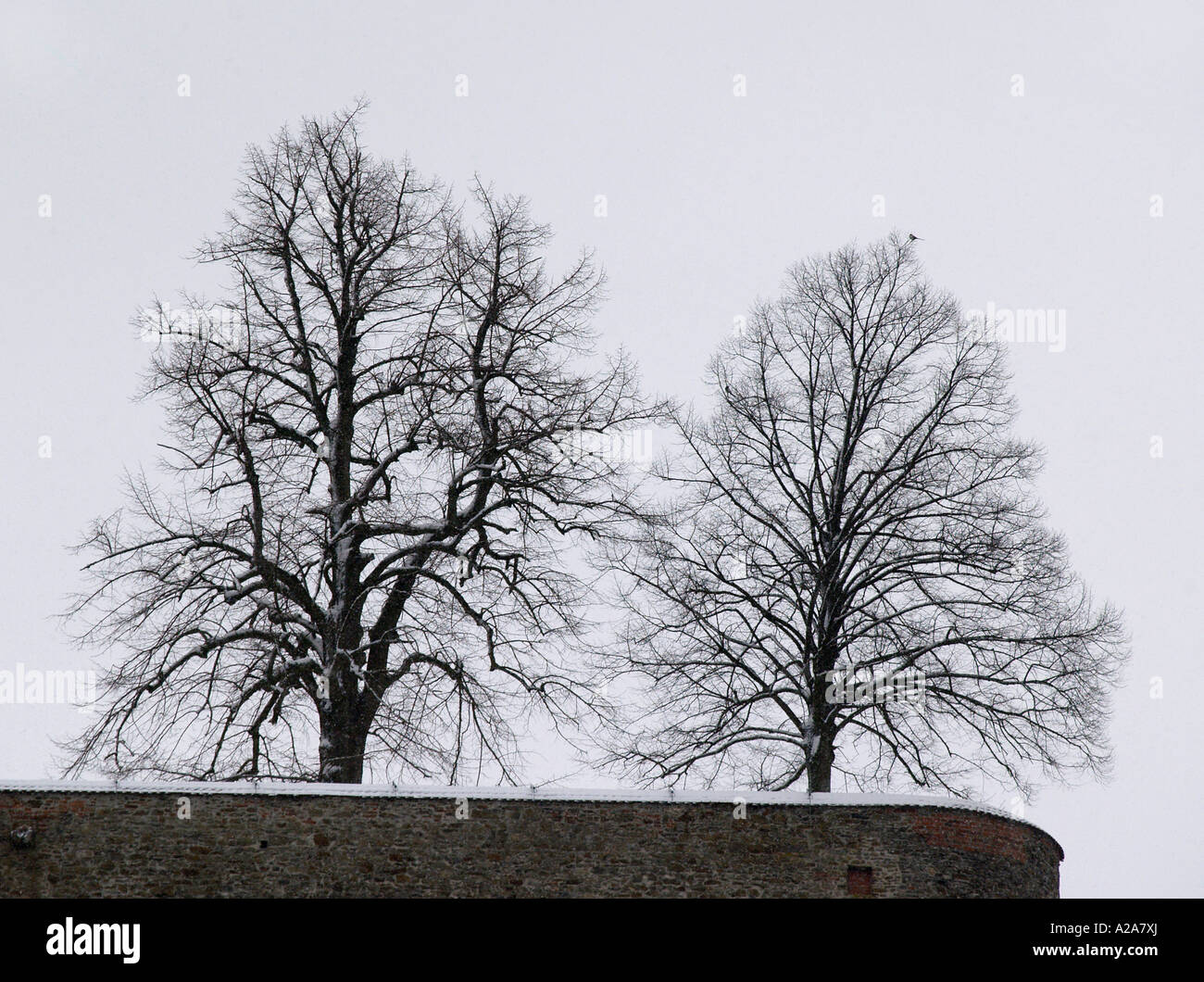 Ramnification hi-res stock photography and images - Alamy