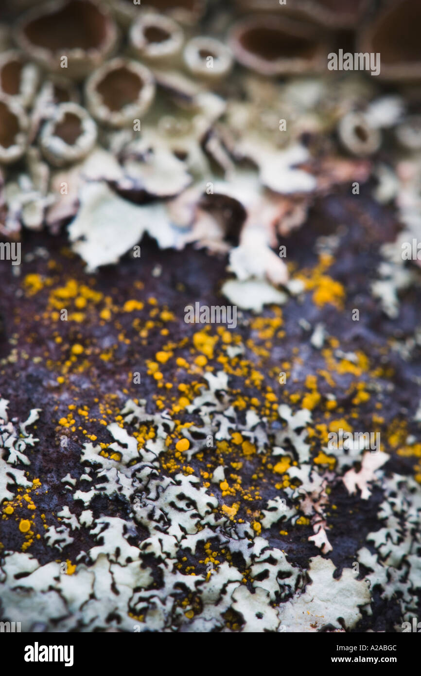 Gray rocks quebec hi-res stock photography and images - Alamy