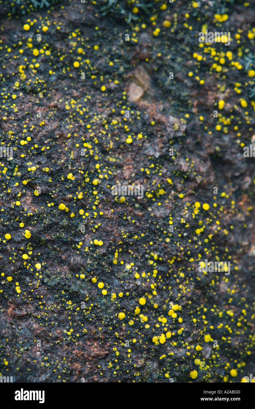 Gray rocks quebec hi-res stock photography and images - Alamy