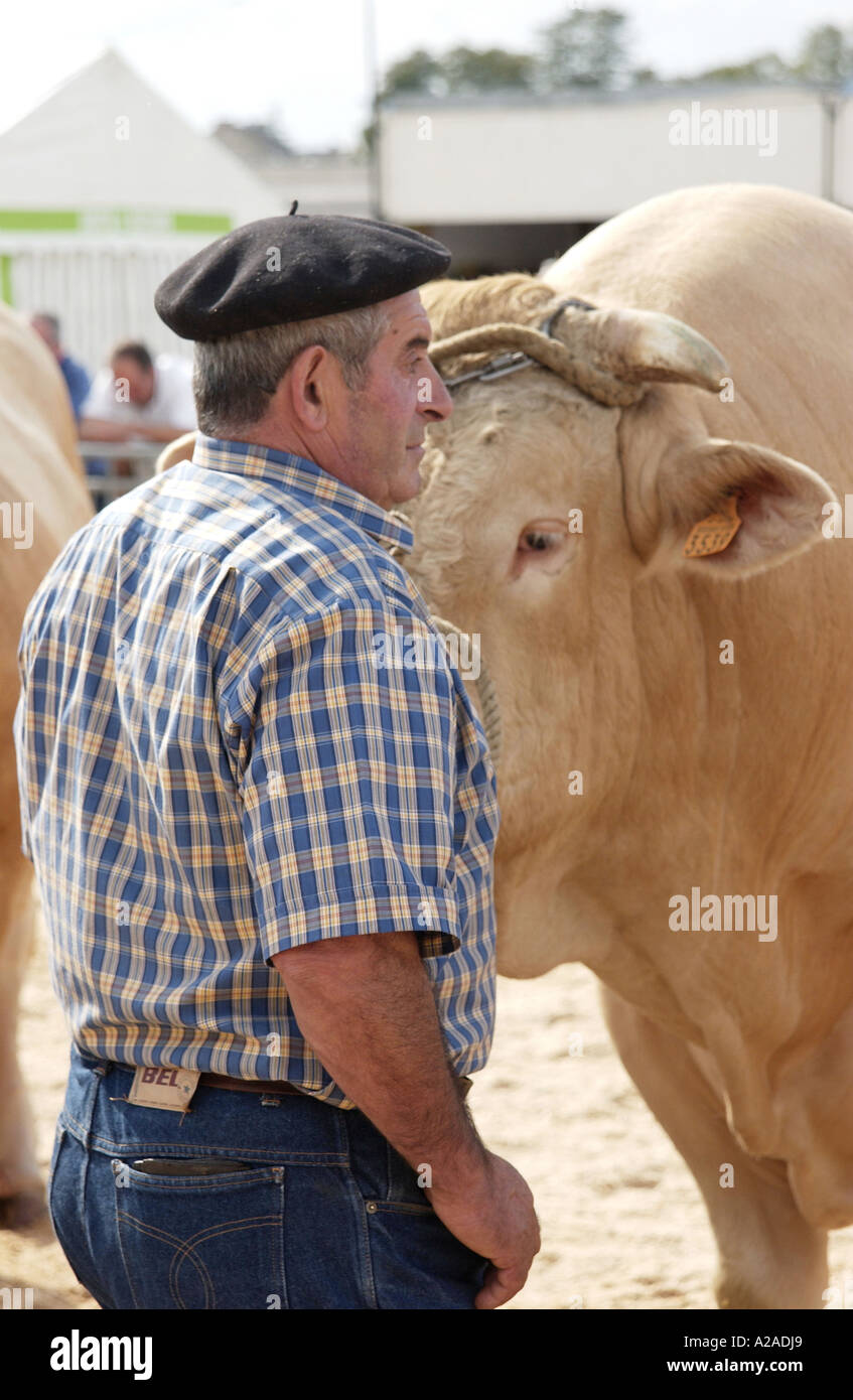 Cattle Fayre in Parthenay, France Stock Photo