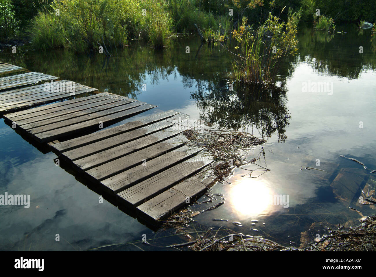 A floating bridge on St.Marie river Stock Photo Alamy