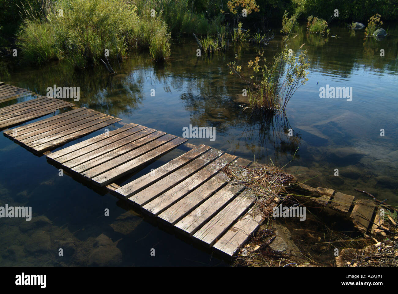 A floating bridge on St.Marie river Stock Photo Alamy