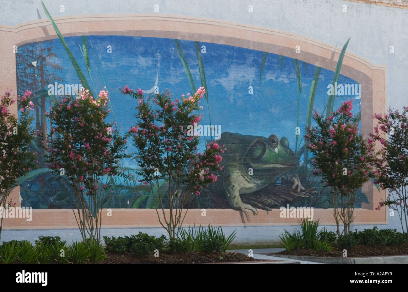 Frog mural in Rayne LA Frog Capitol of the World and official City of Murals Acadia Parish Louisiana Stock Photo