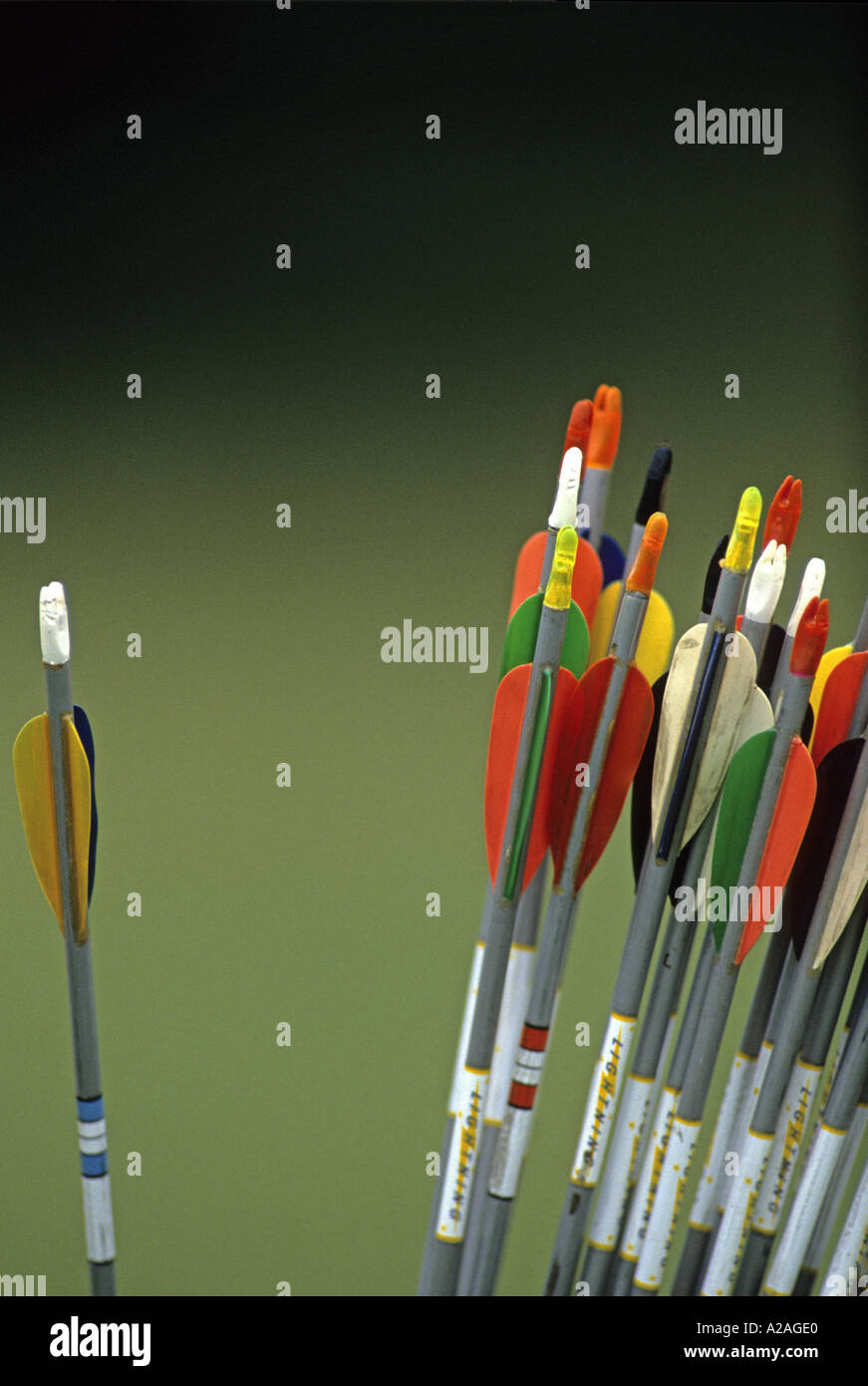 Close up of a set of coloured plastic arrow flights at an archery tournament Stock Photo