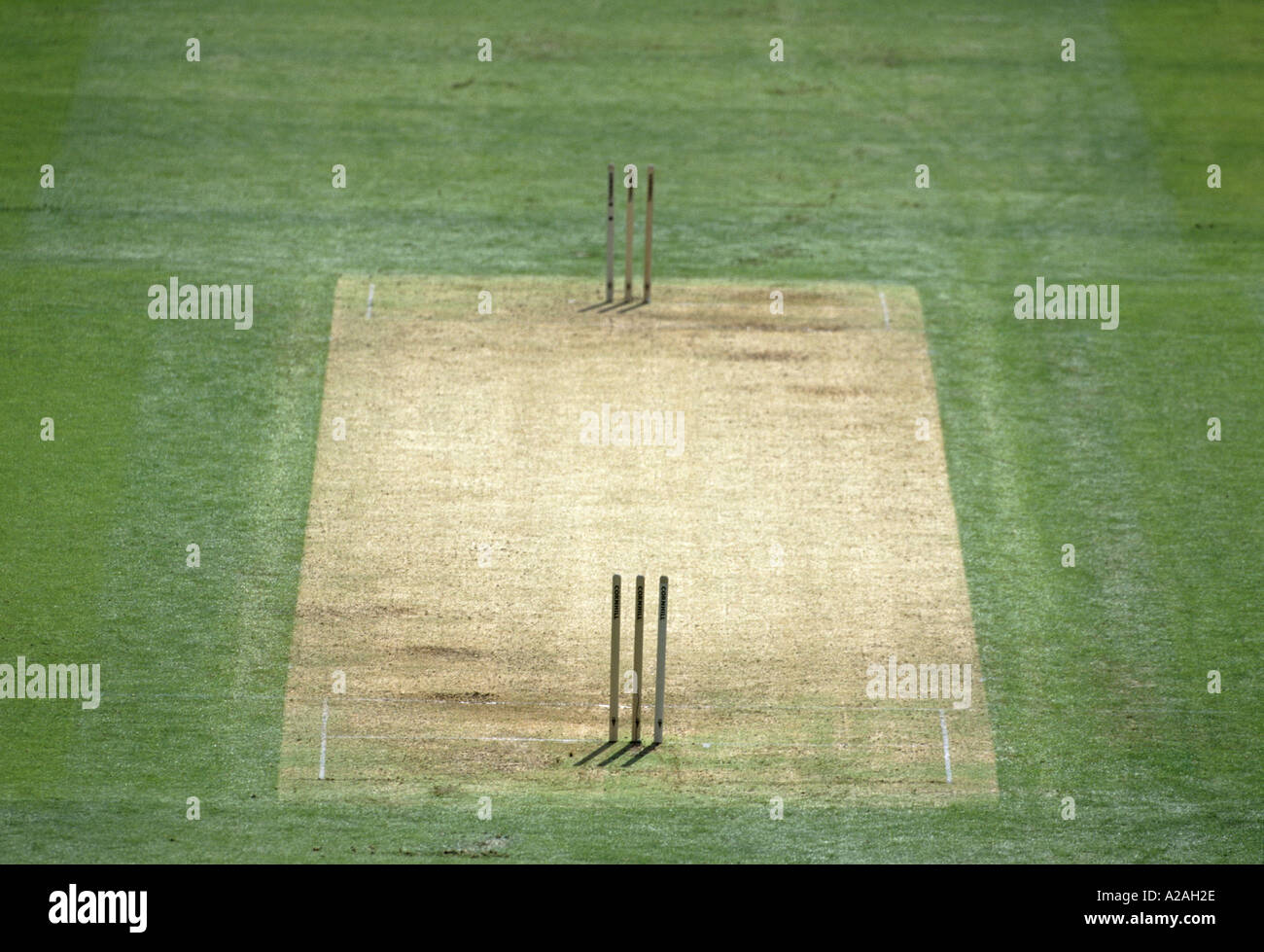 View of a cricket pitch from wicket to wicket showing the worn grass