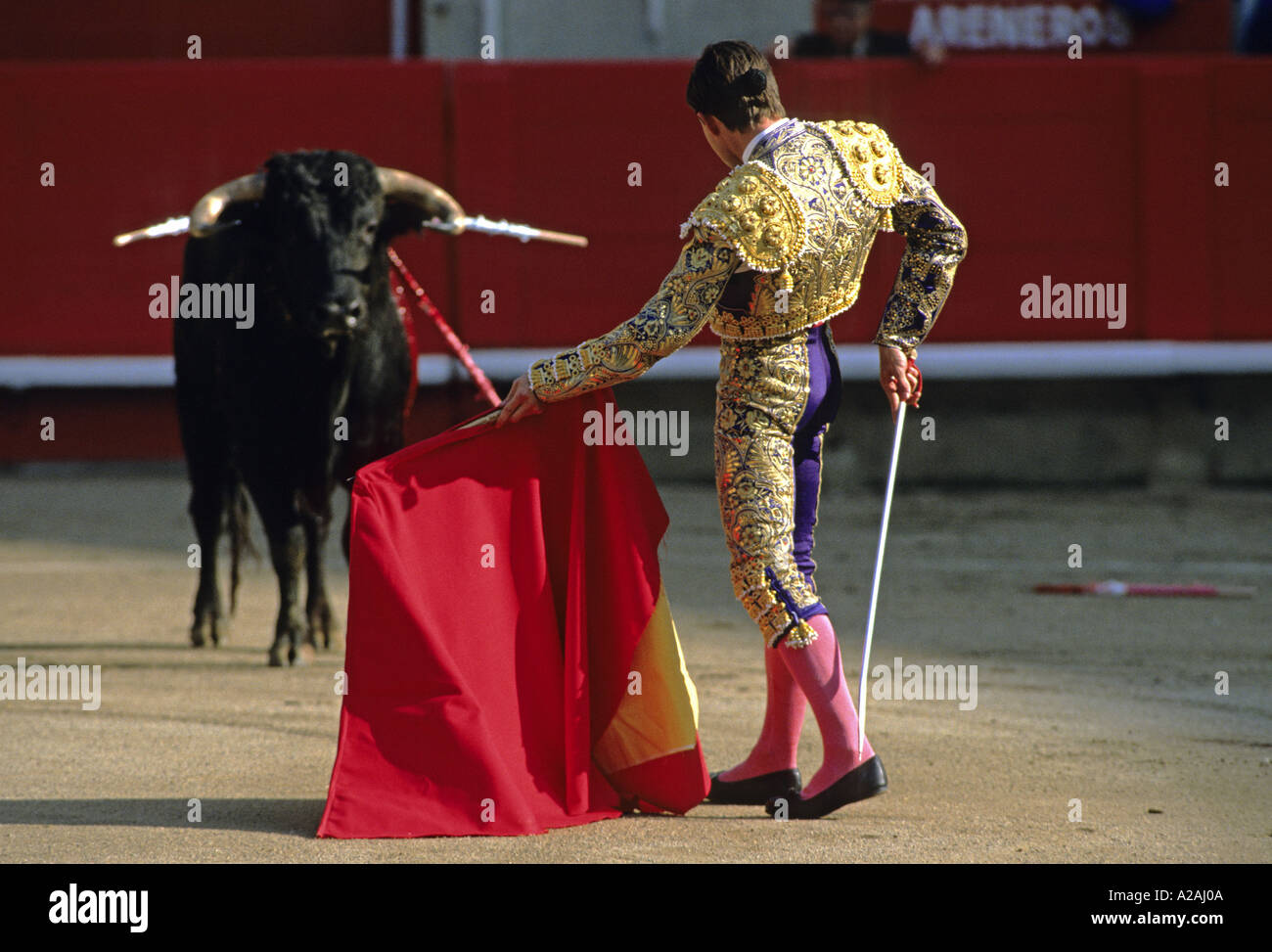 A matador attempts to provoke the bull with his red cape during a bullfight  in Barcelona Spain Stock Photo - Alamy