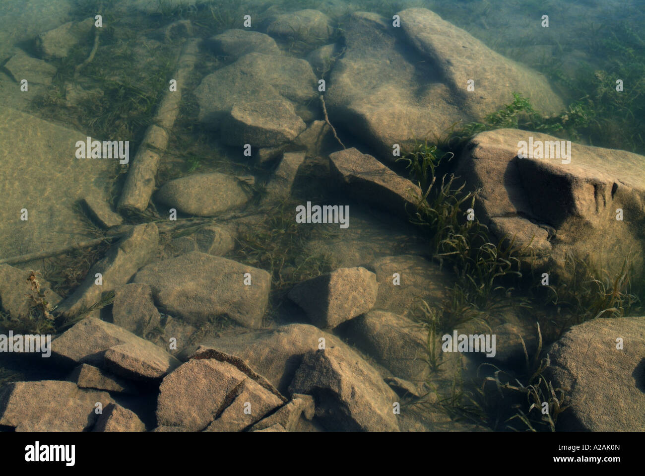 Underwater of Lake Huron Stock Photo Alamy
