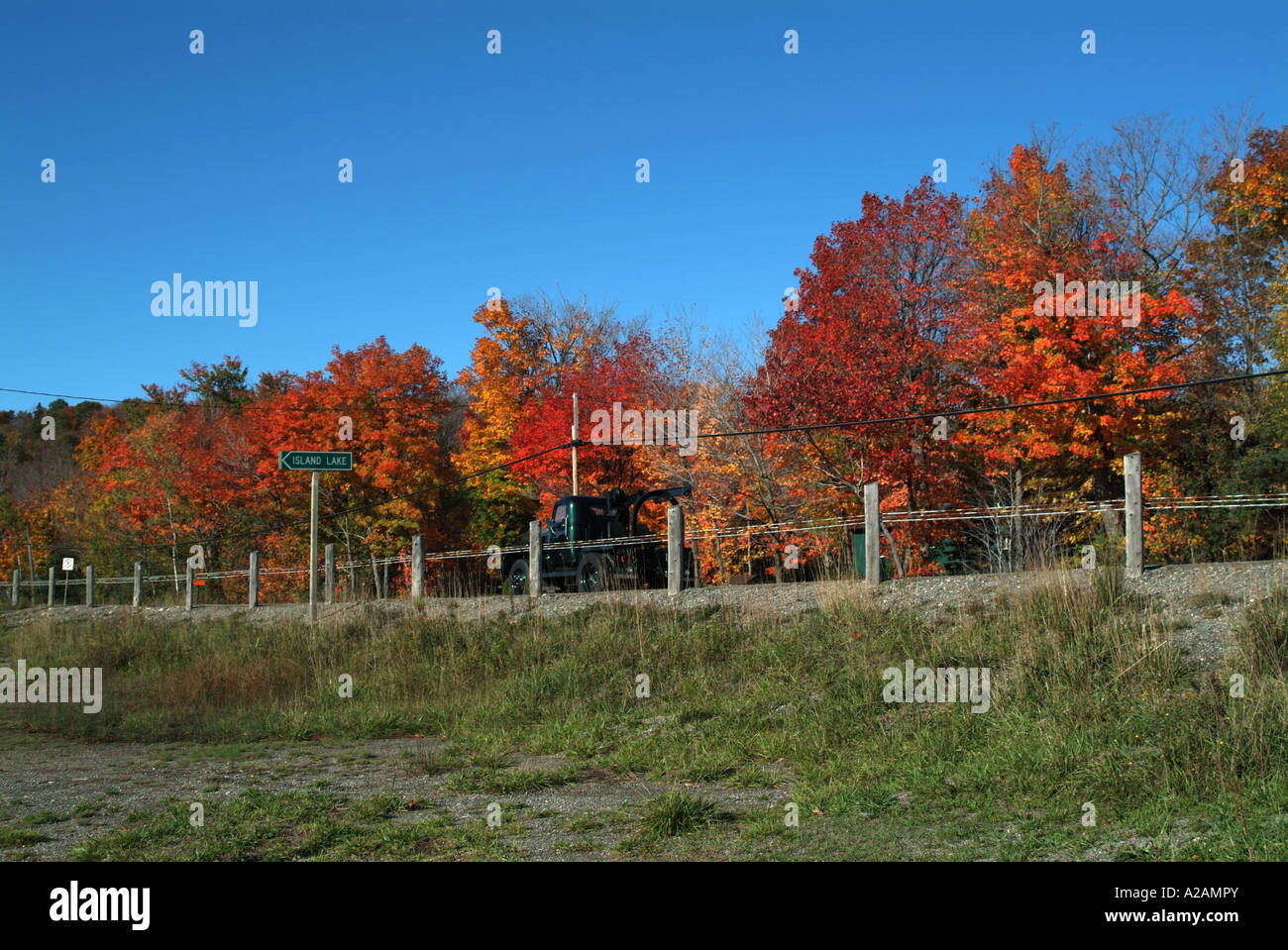 Shadow trees grass fence hi-res stock photography and images - Alamy