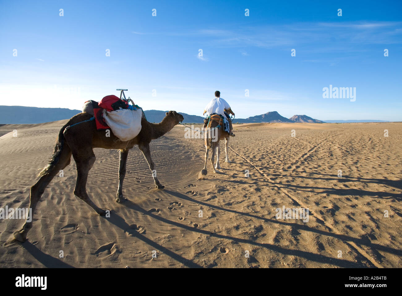 Ridden camels hi-res stock photography and images - Alamy