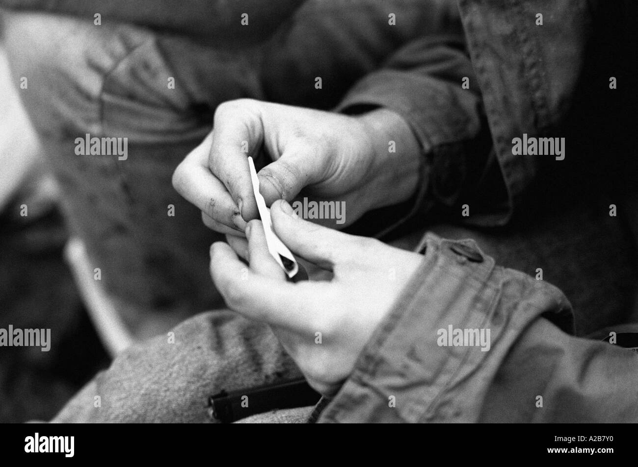 rolling a joint with cannabis Stock Photo