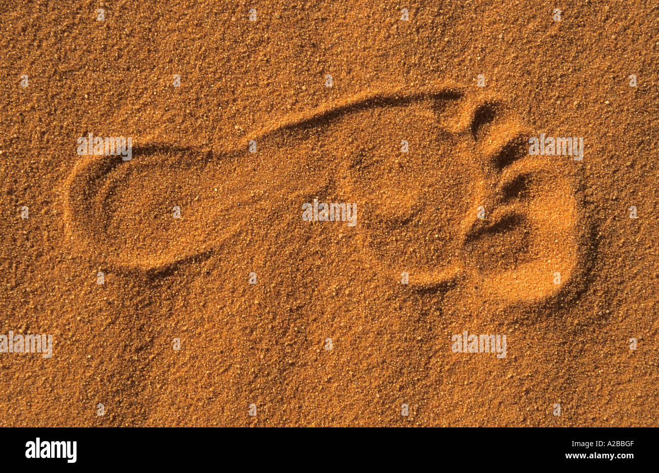Foot print in the sand Stock Photo - Alamy