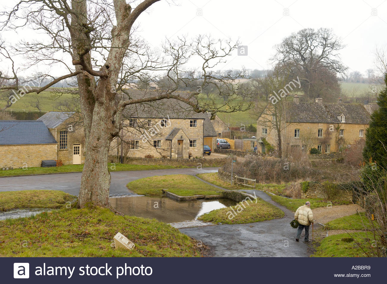 cotswold walking sticks
