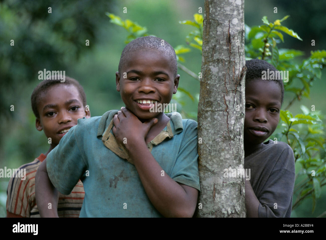 Portrait of three curious looking Tanzanian boys, Old Moshi, Kilimanjaro region,Tanzania Stock Photo
