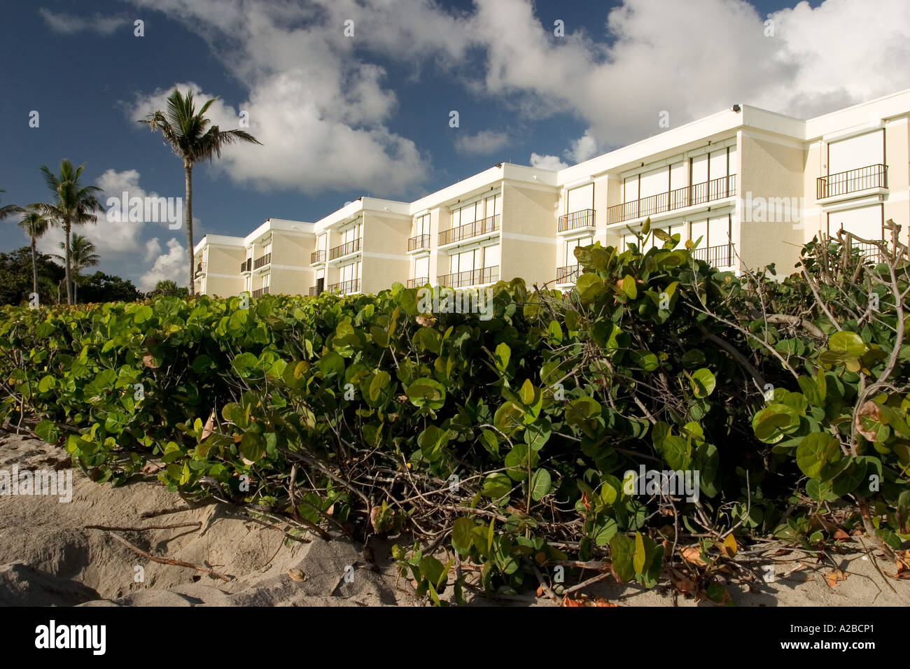 Beach front condominiums in Florida. Stock Photo