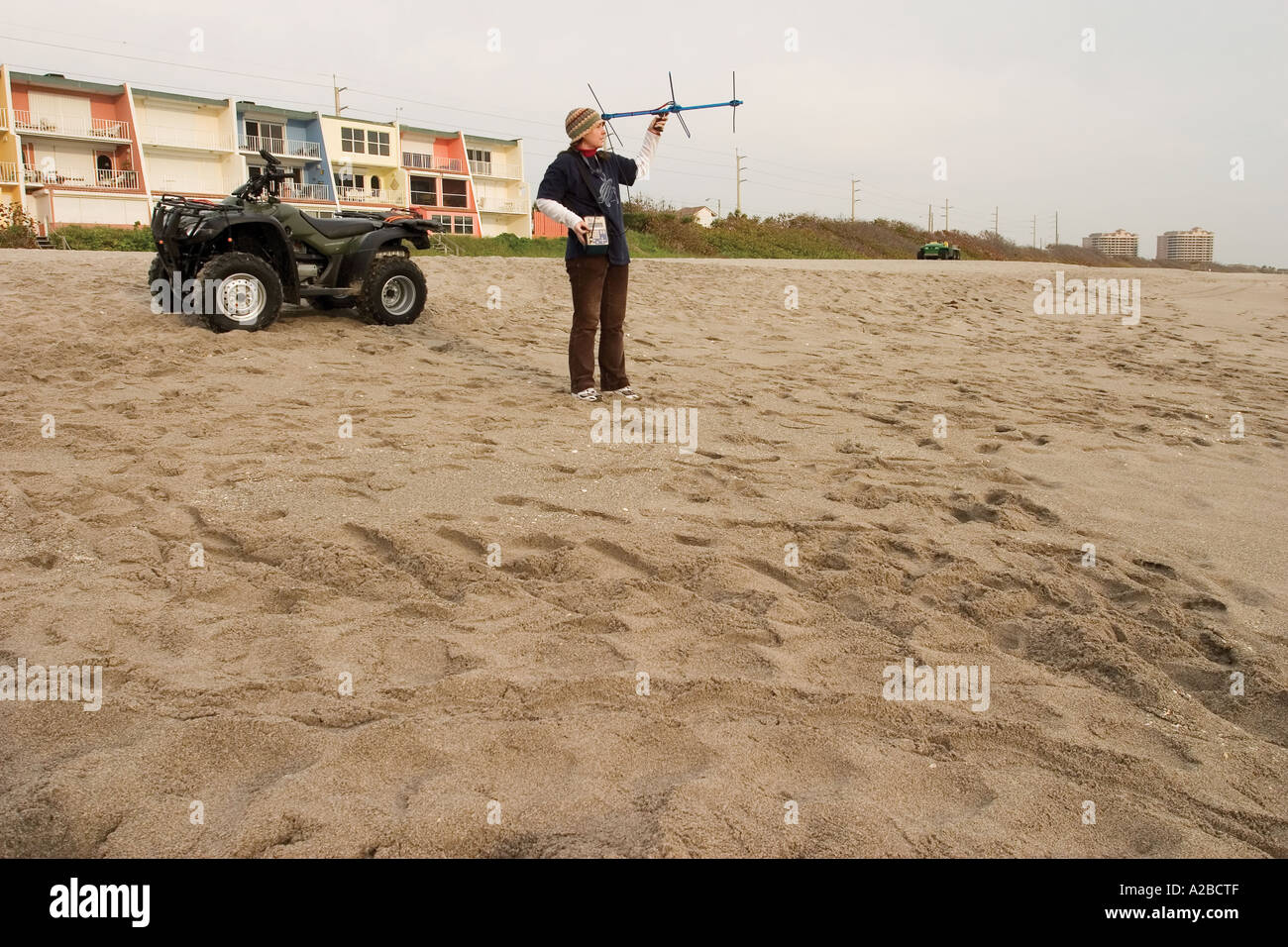 Researcher tracks an endangered leatherback sea turtle. Stock Photo