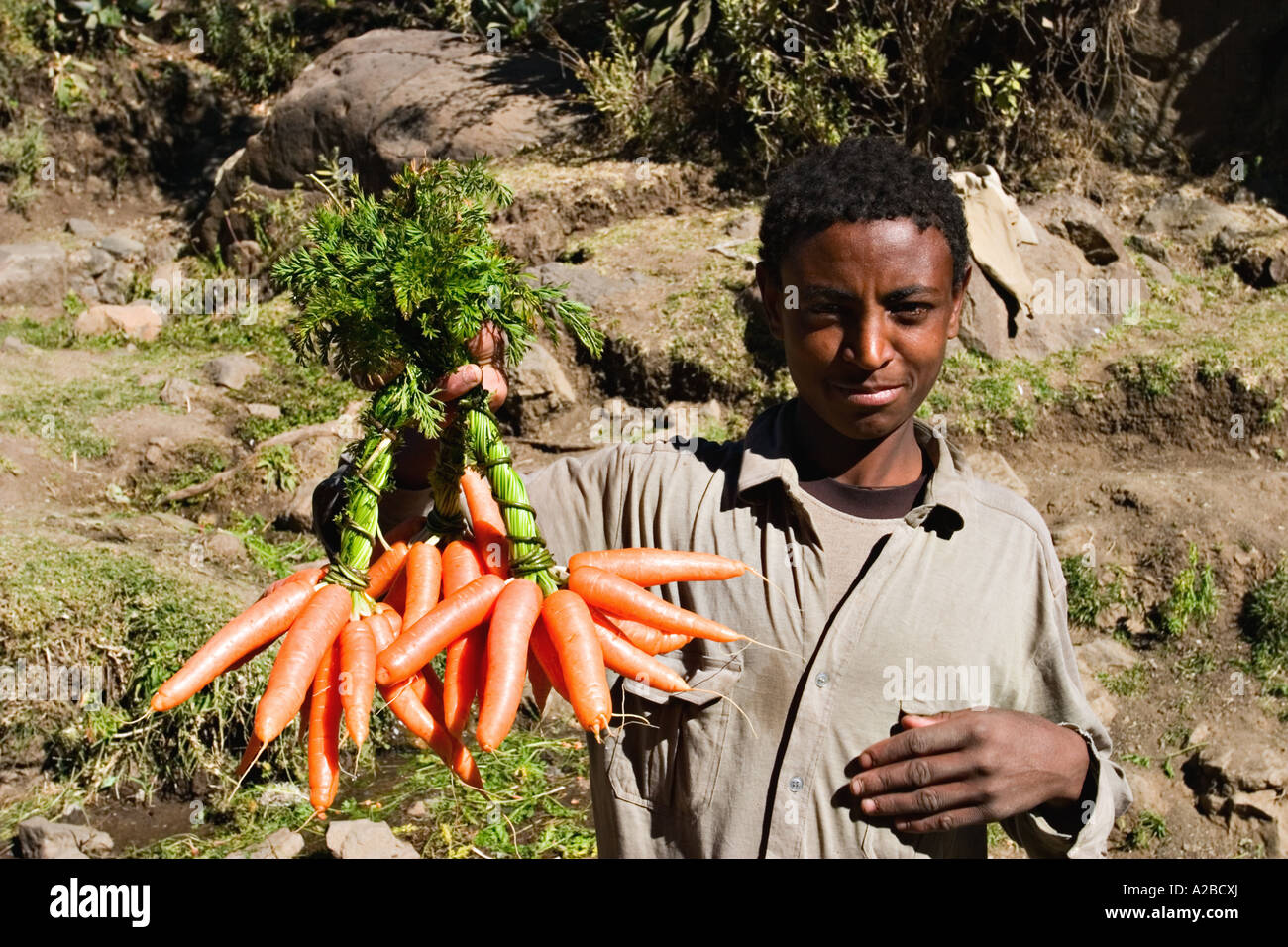 Ethiopian boy selling carrots (Daucus Carota) on a way to Mekele, Ethiopia, Africa Stock Photo
