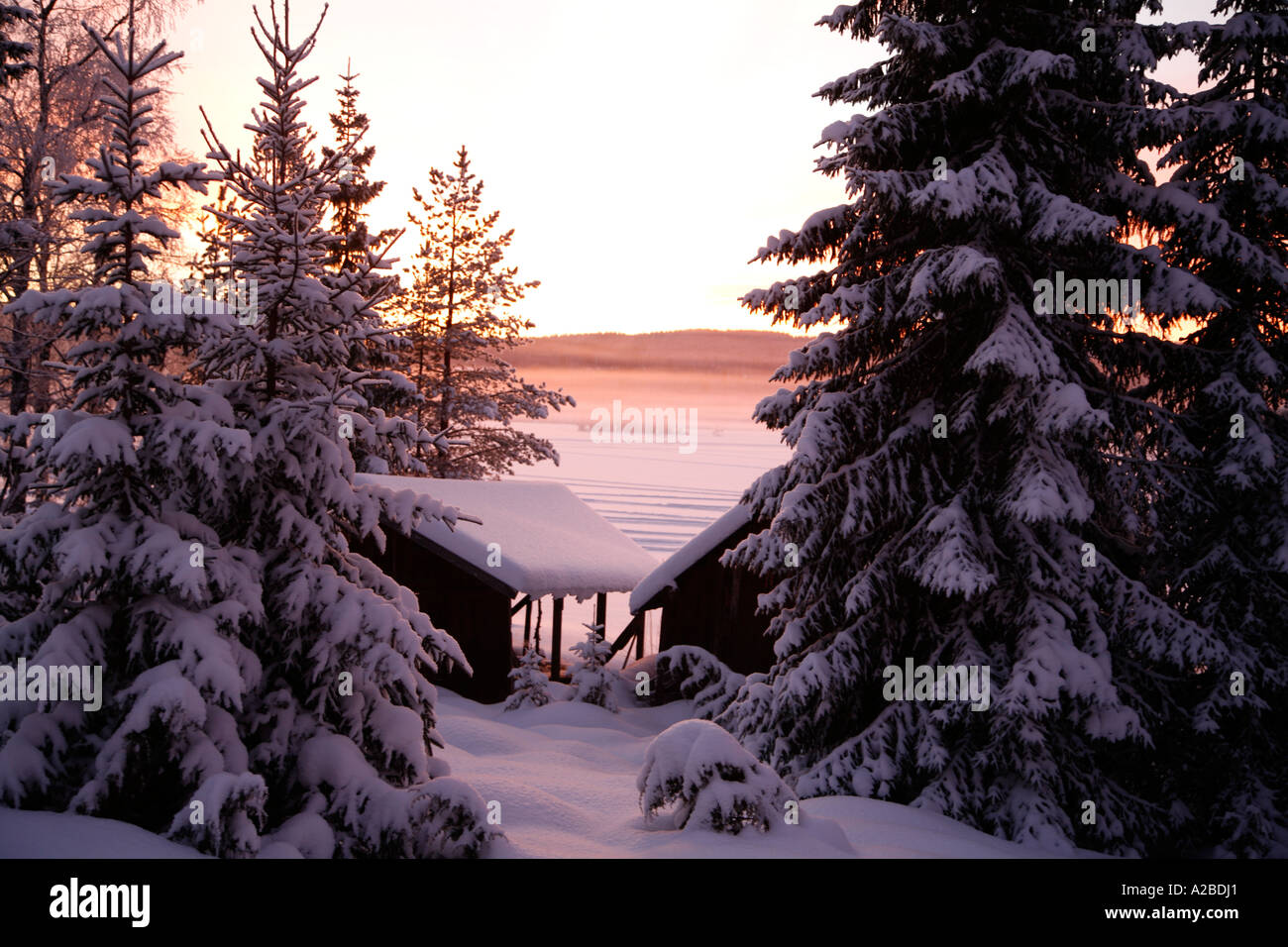 Sweden Dalecarlia Log Cabin In Winter Forest And Fence Atmospheric