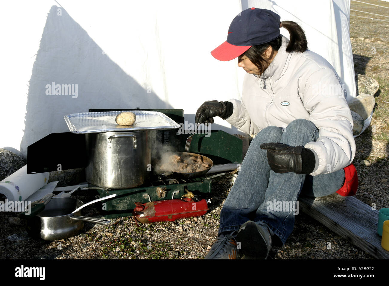 Chinese woman cooking at camp York Sound Baffin Island Nunavut Stock