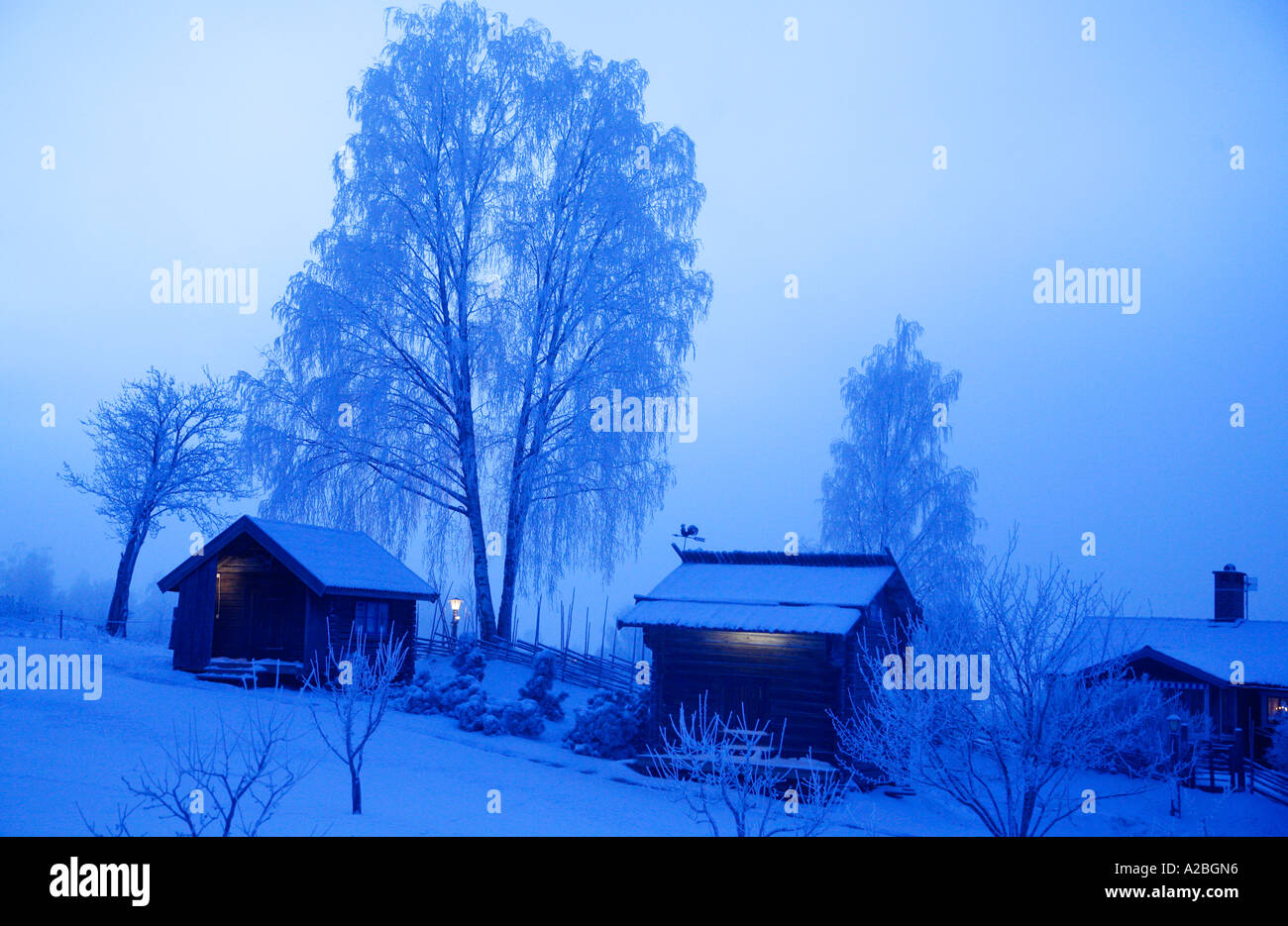 Sweden Dalecarlia Winter Mood With Log Cabins And Frosty Birch