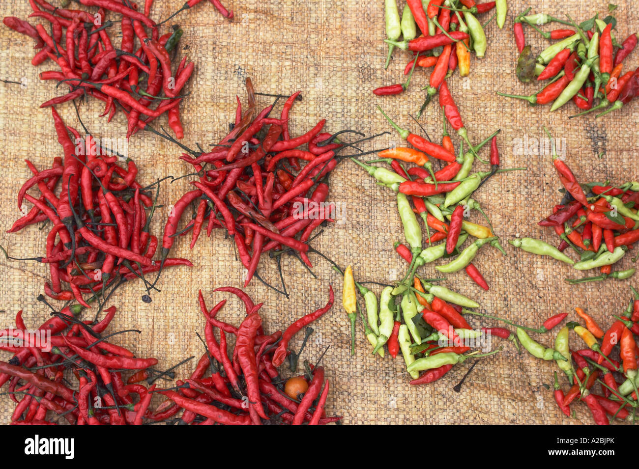 Red And Green Chillies At Market Stock Photo - Alamy