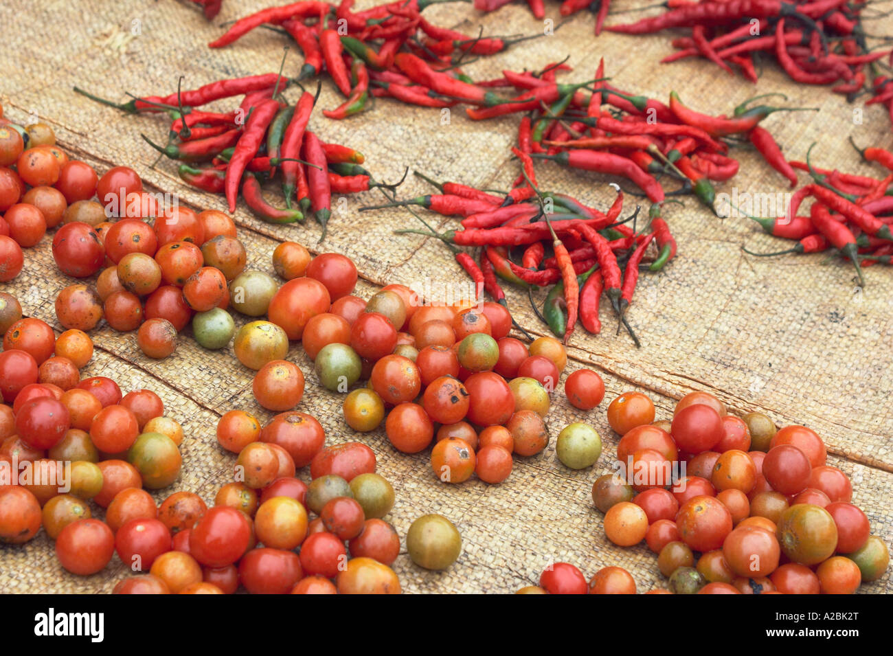 Tomatoes And Chillies At Market Stock Photo