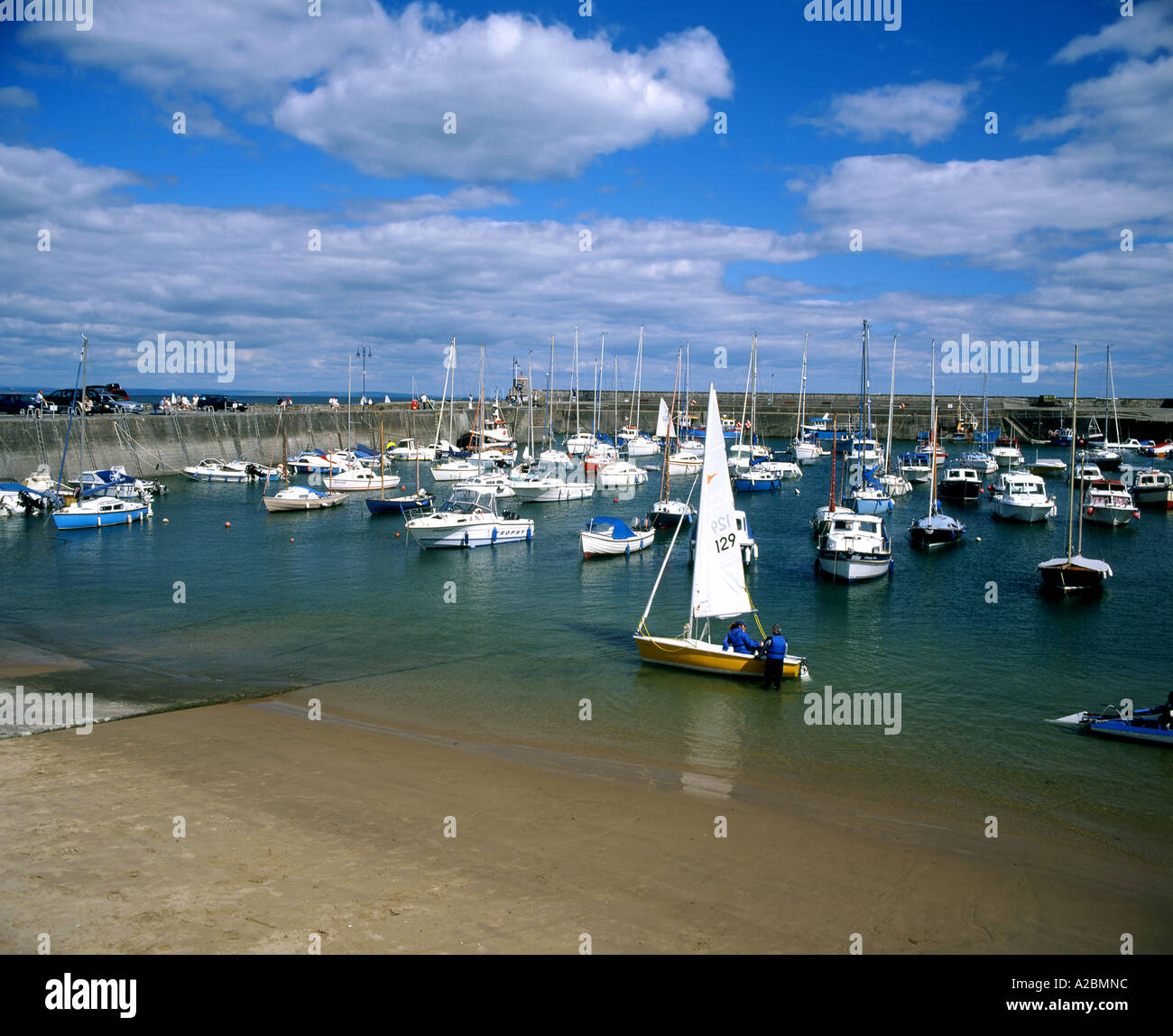 saundersfoot harbour pembrokeshire west wales Stock Photo Alamy