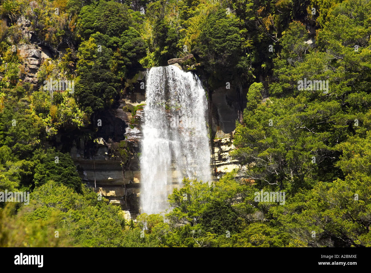 Waterfall Millerton near Granity West Coast South Island New Zealand Stock Photo