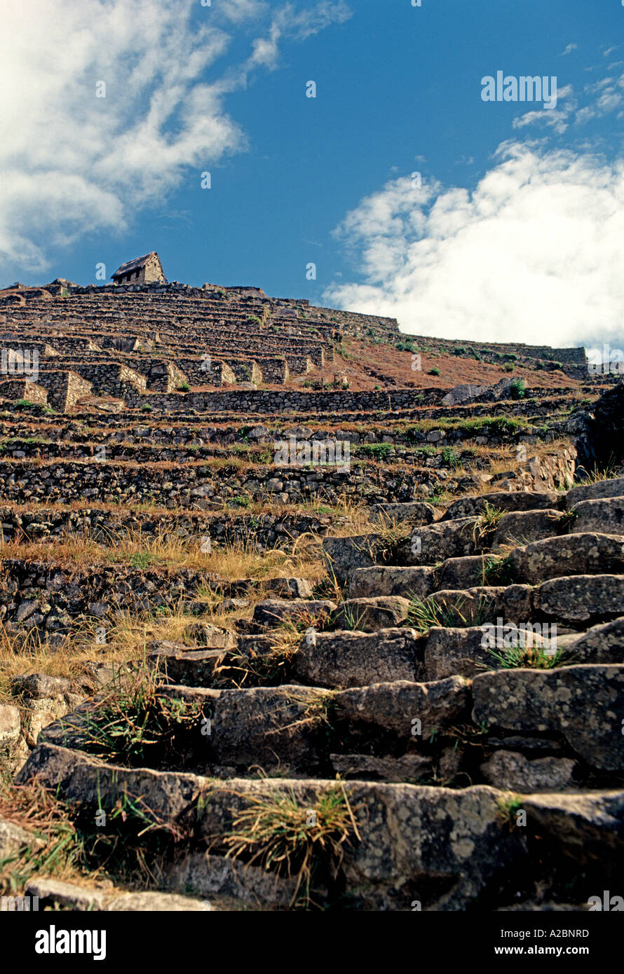 Terraces Of Machu Picchu In Peru Stock Photo - Alamy