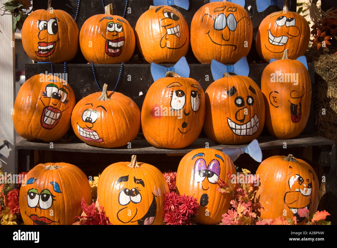 Rustic shelves filled with painted jack o lantern Halloween decorations  Stock Photo - Alamy