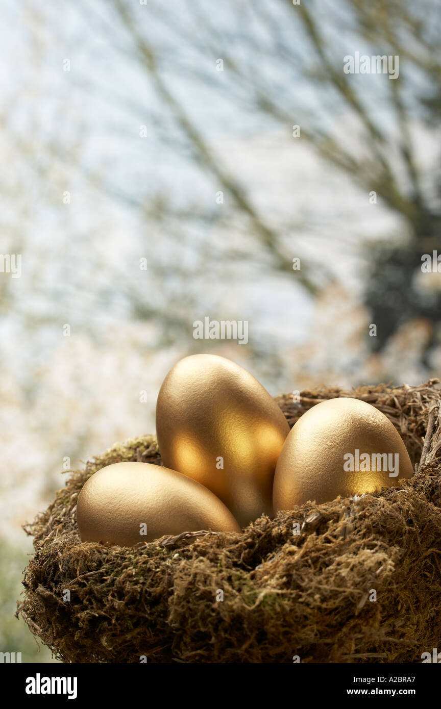 THREE GOLD EGGS IN BIRDS NEST WITH TREE IN BACKGROUND Stock Photo