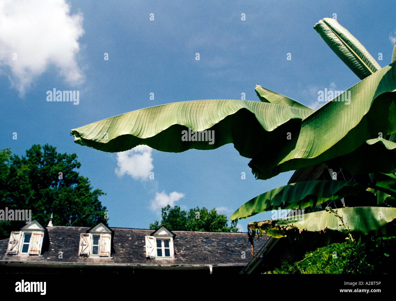 French country garden hires stock photography and images Alamy
