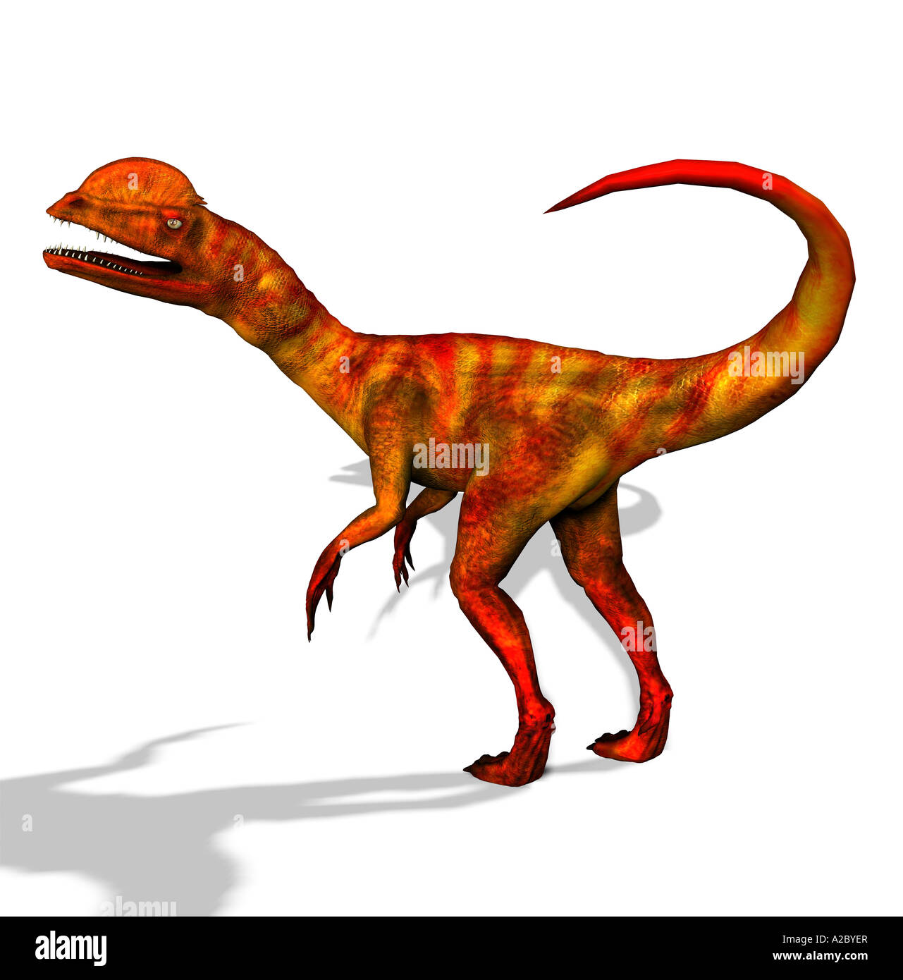 dinosaur Dilophosaurus Stock Photo