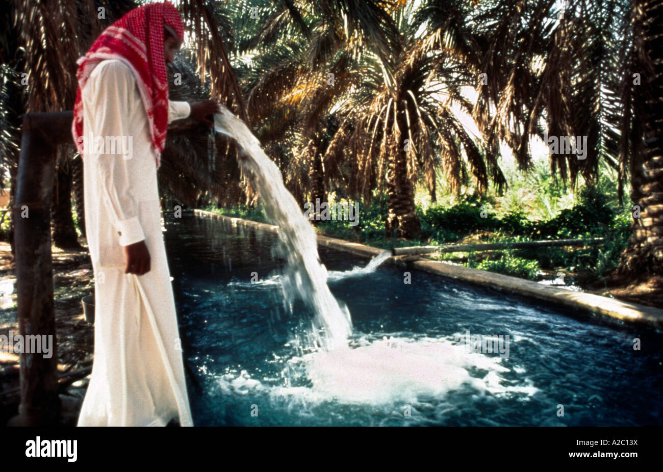 Saudi arabia man pool hires stock photography and images Alamy