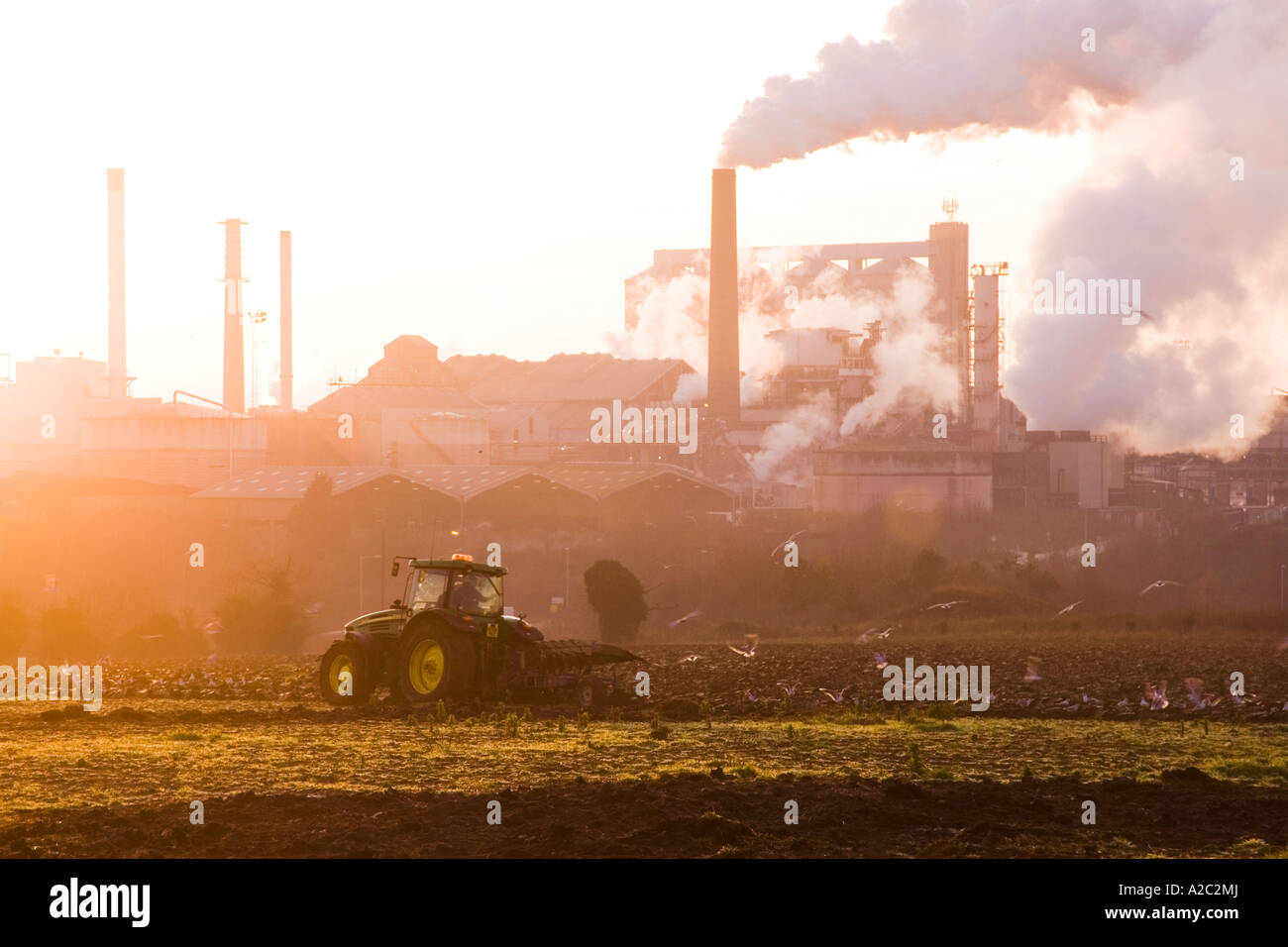 the sugar beet processing factory in Bury St Edmunds Suffolk UK Stock