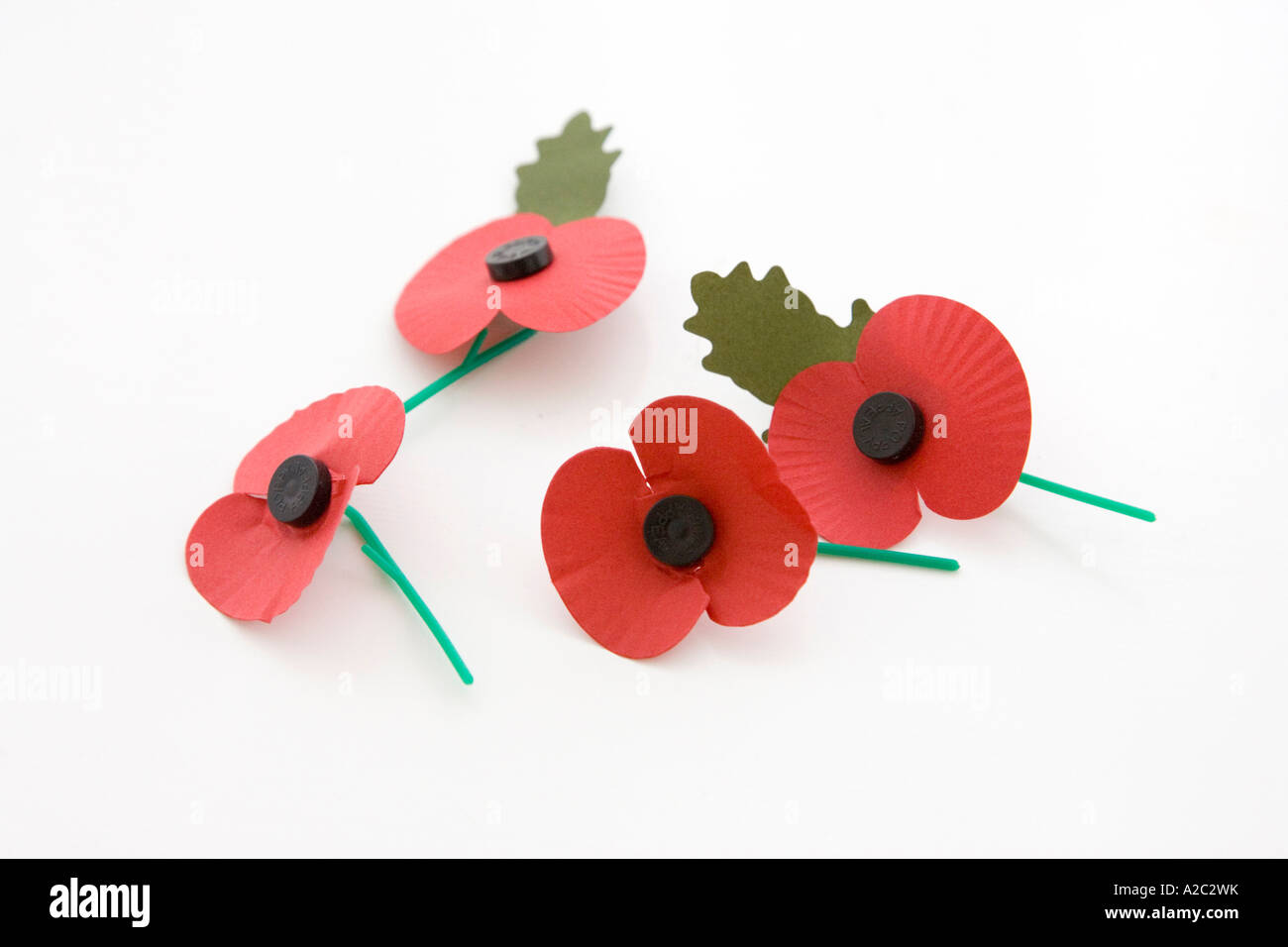 poppies for remembrance of soldiers killed in wartime Stock Photo