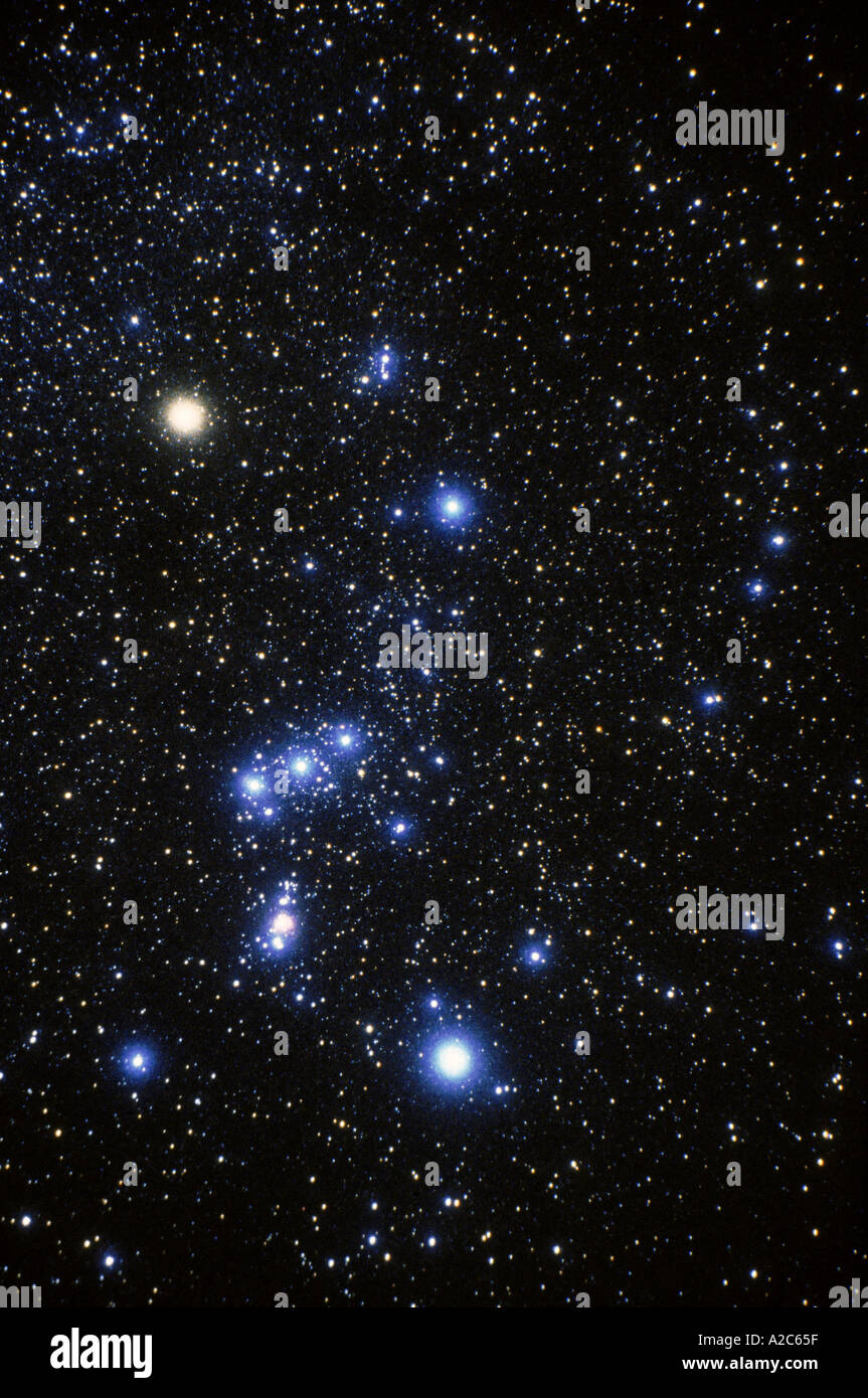 Stars of Orion glow in the starry winter sky Stock Photo