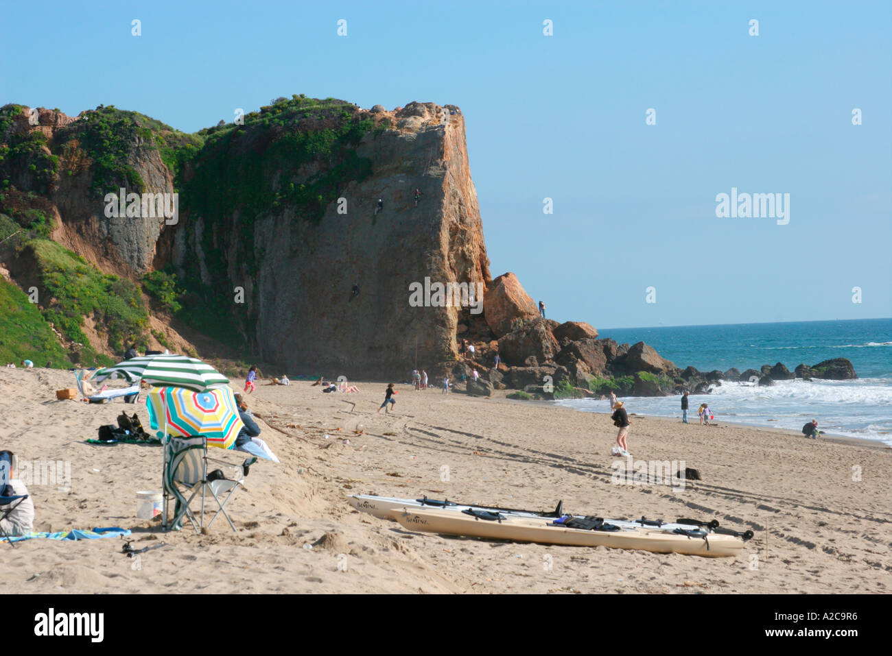 Are Dogs Allowed At Point Dume