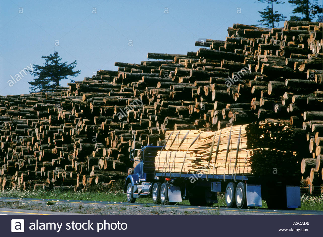Lumber Mill California High Resolution Stock Photography and Images Alamy