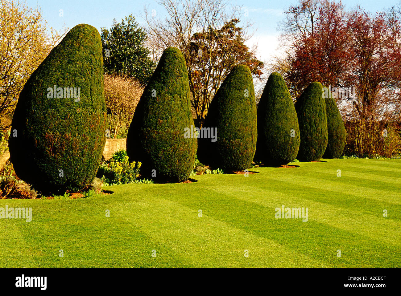Trees in an English Country Garden Stock Photo Alamy