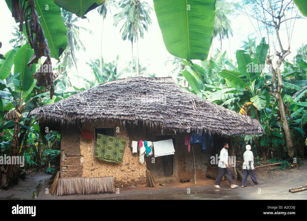 straw thatched mud hut in the jungle on Zanzibar Island in Tanzania in Africa Stock Photo