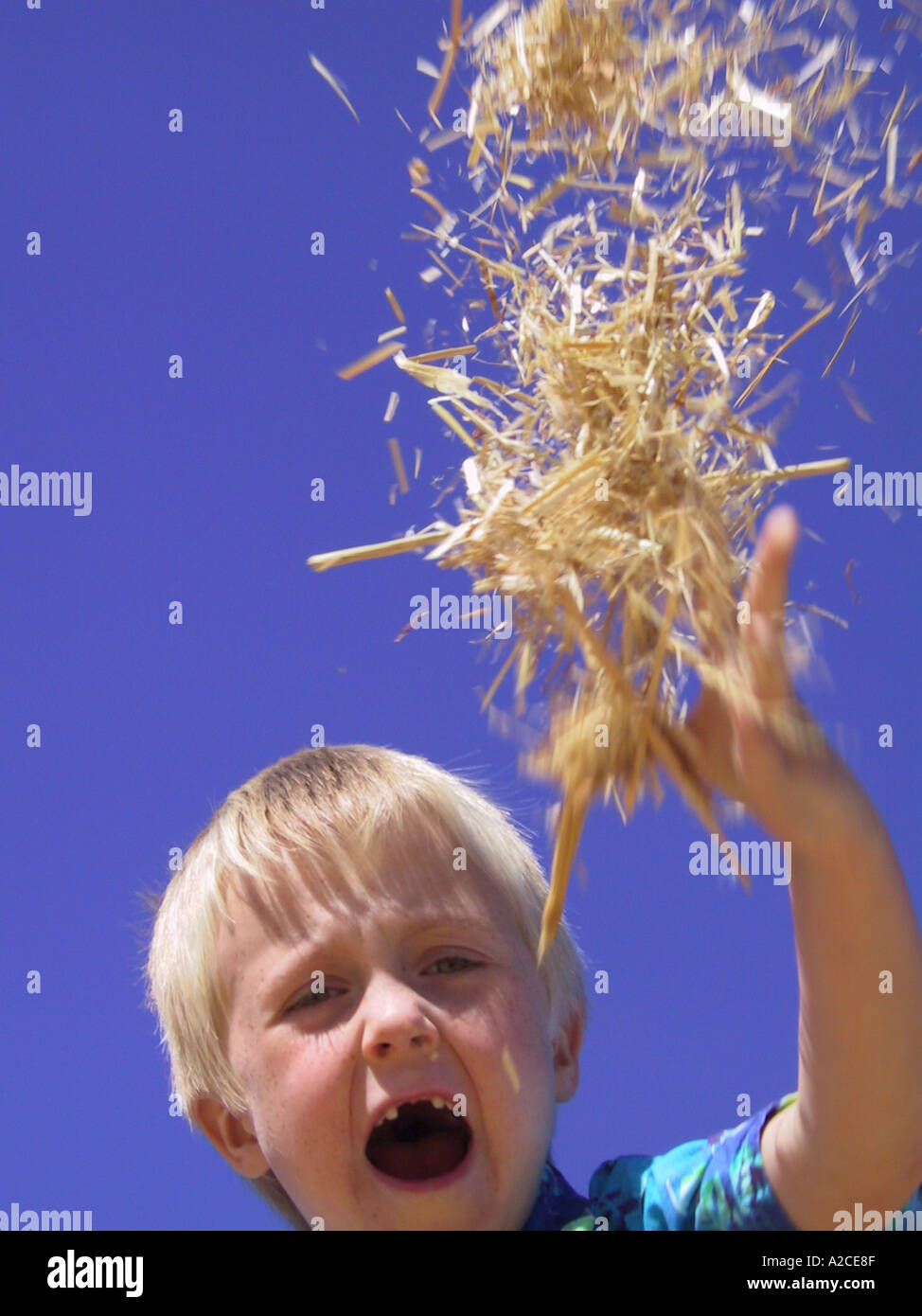 A four year old boy throwing hay into the air Stock Photo Alamy