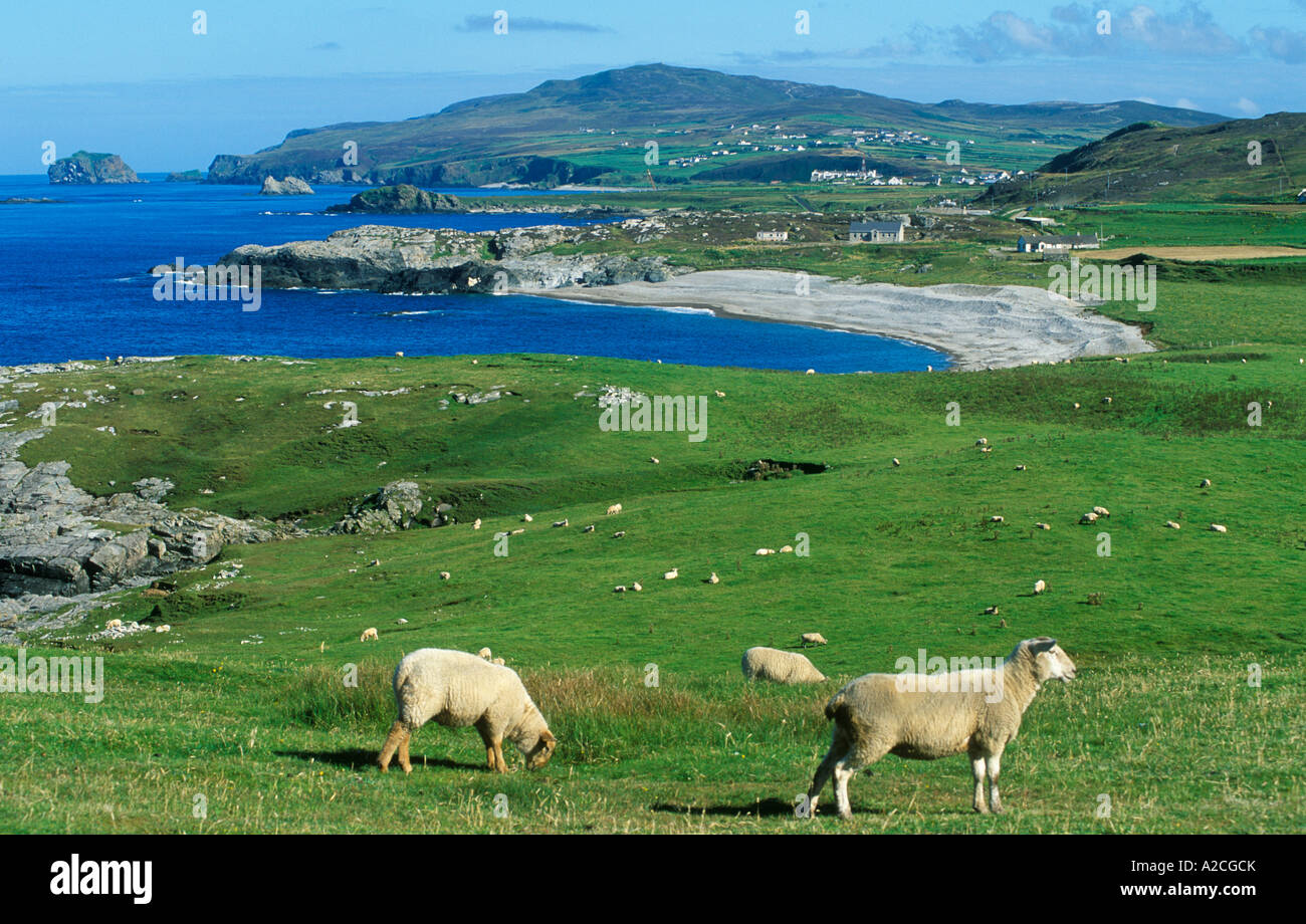 panoramic view at Malin Head in County Donegal, Ireland´s most northern point Stock Photo Alamy panoramic view at Malin Head in County Donegal, Ireland´s most northern point Stock Photo Alamy
