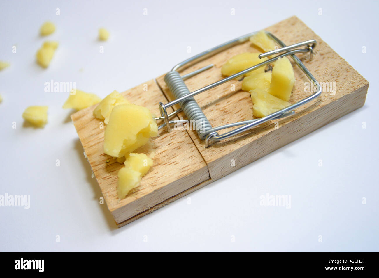 Cheese bait on a mousetrap mouse trap Stock Photo Alamy