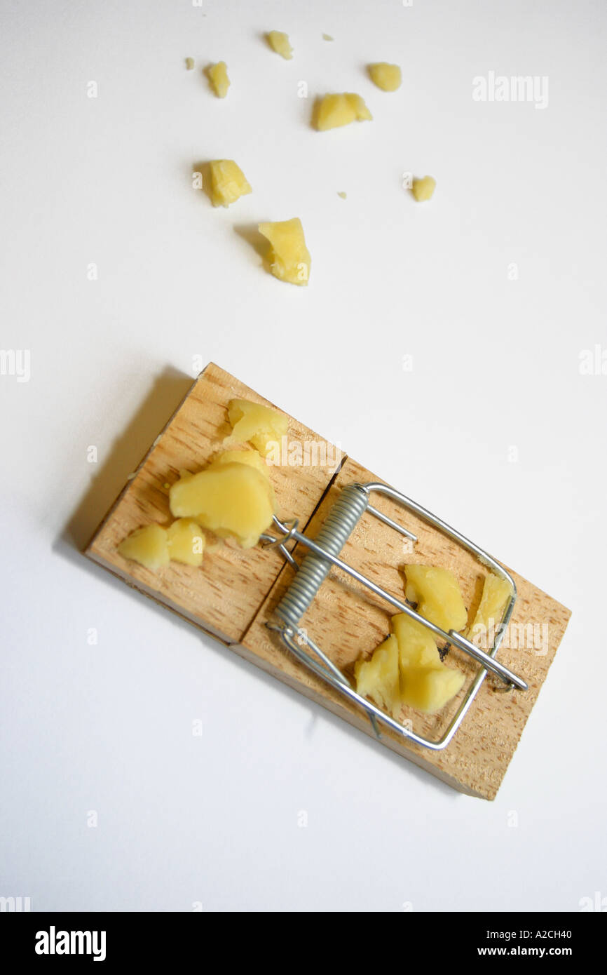 Mousetrap ready and loaded with cheese Stock Photo