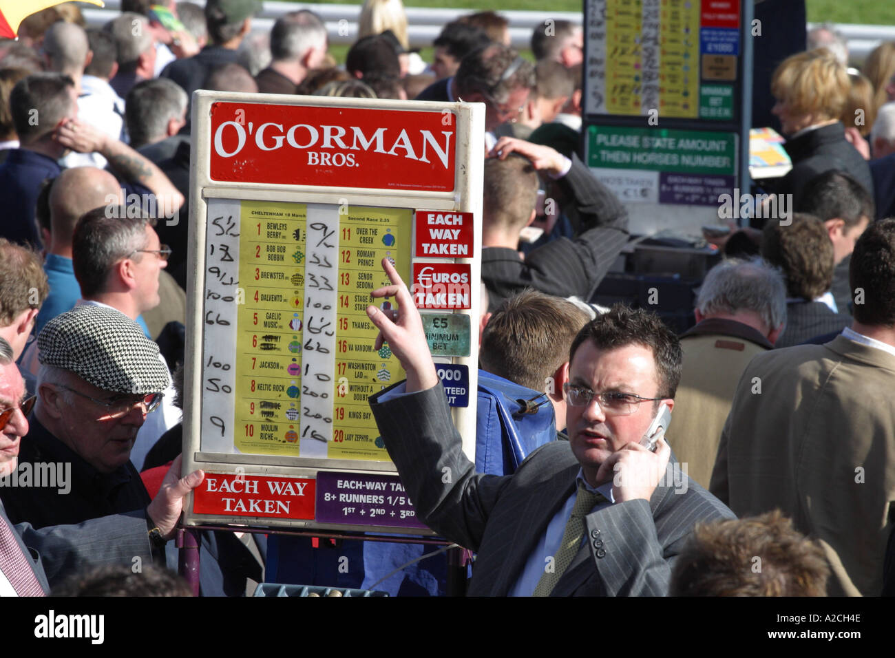 On course horse racing bookmakers at the Cheltenham Gold Cup meet Stock Photo