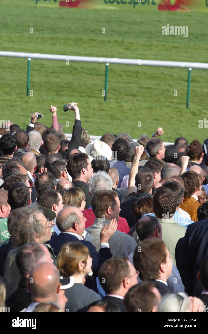 Spectators at the Cheltenham Gold Cup horse racing festival cheer the result of the race Stock Photo