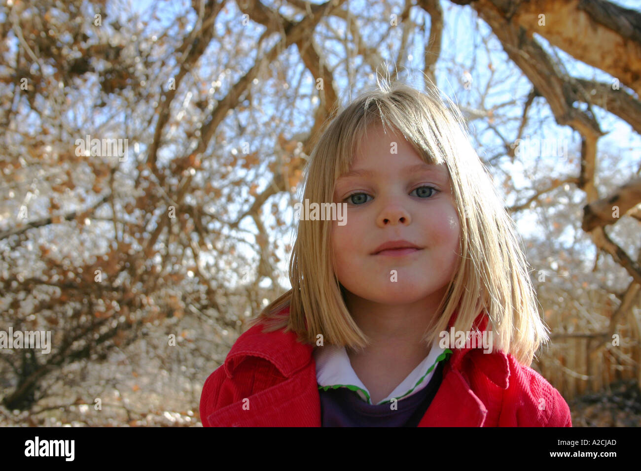 portrait of three year old girl in sunshine Stock Photo