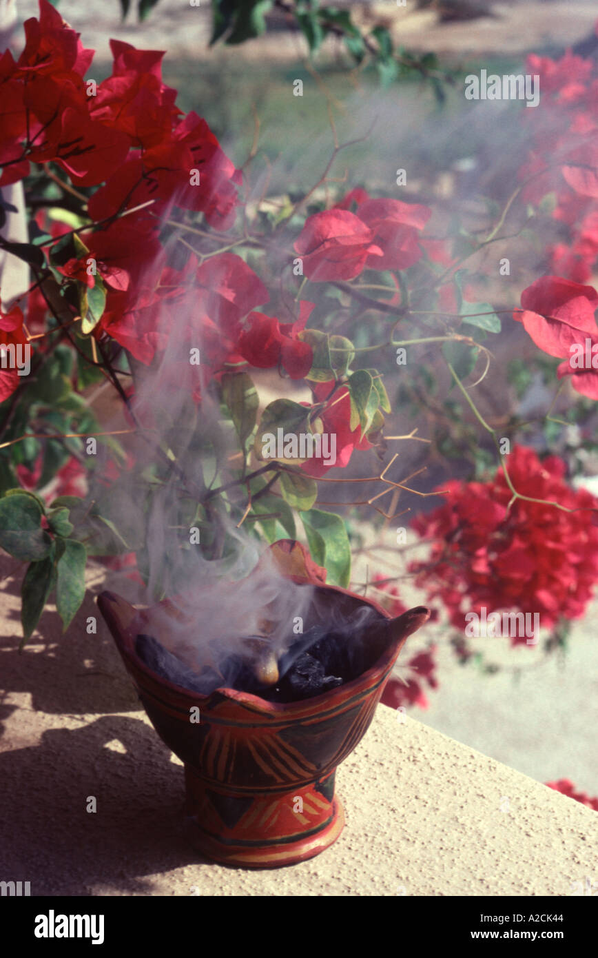 Close Salalah Hi res Stock Photography And Images Alamy