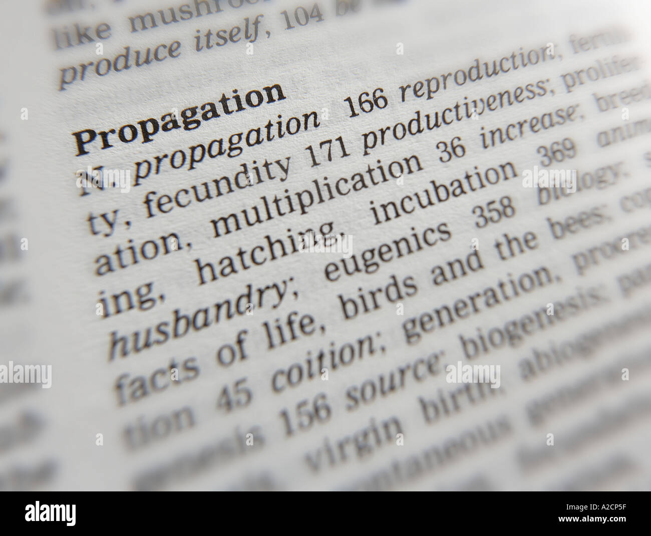 THESAURUS PAGE SHOWING DEFINITION OF WORD PROPAGATION Stock Photo